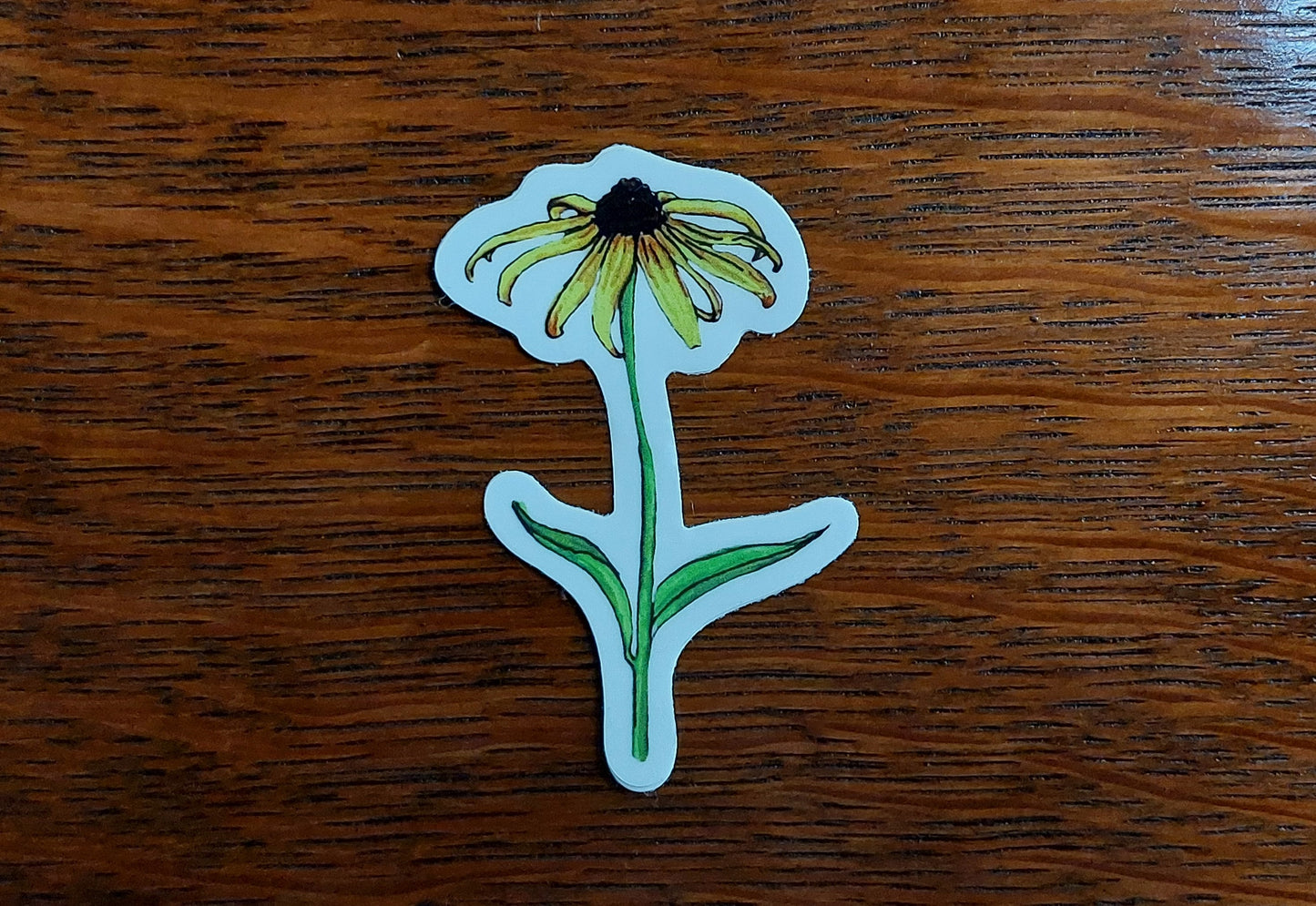 Coneflower Vinyl Sticker