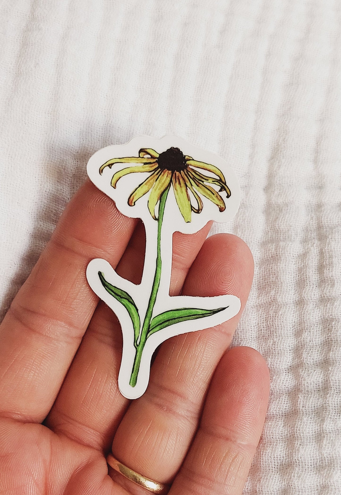 Coneflower Vinyl Sticker