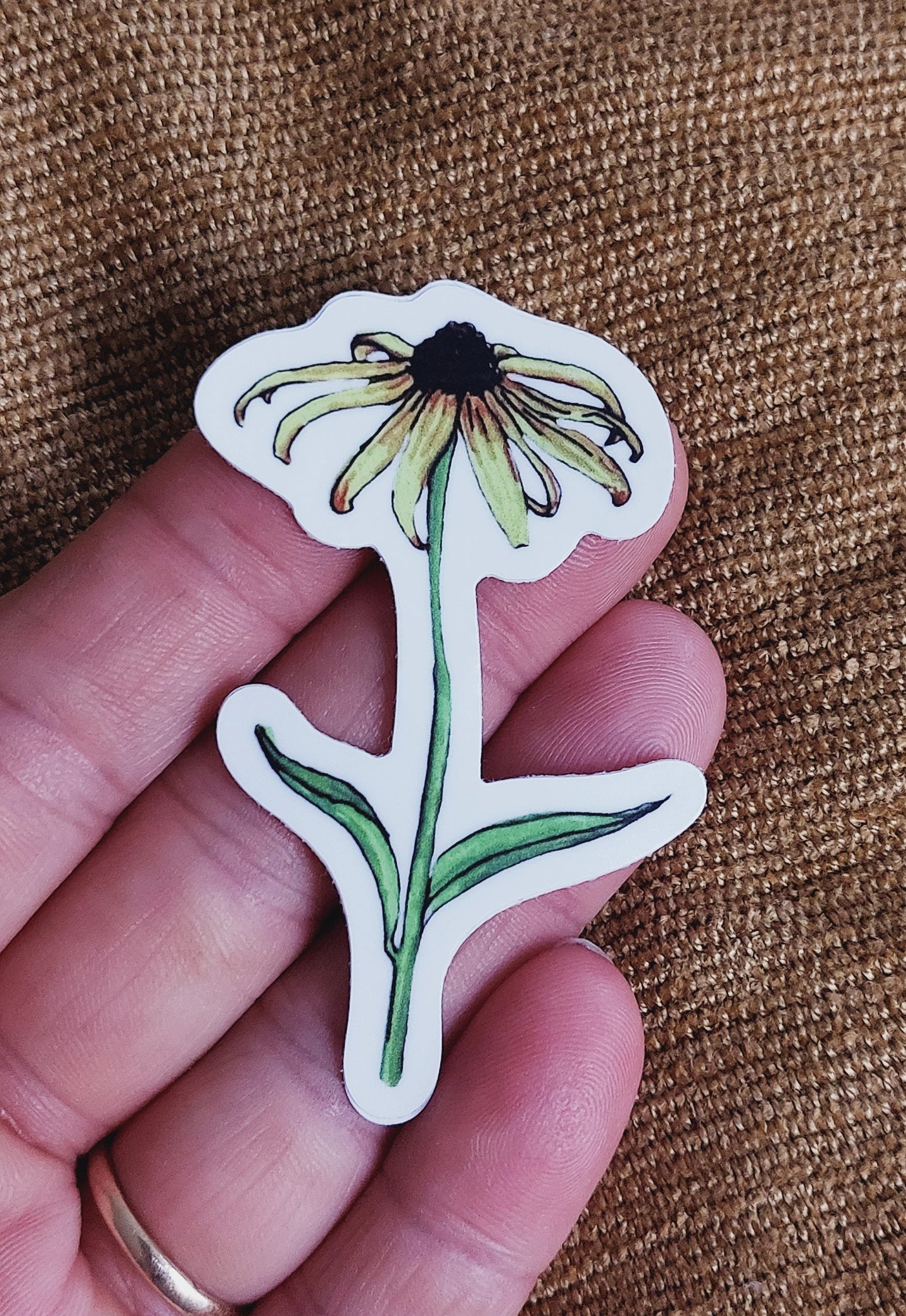 Coneflower Vinyl Sticker
