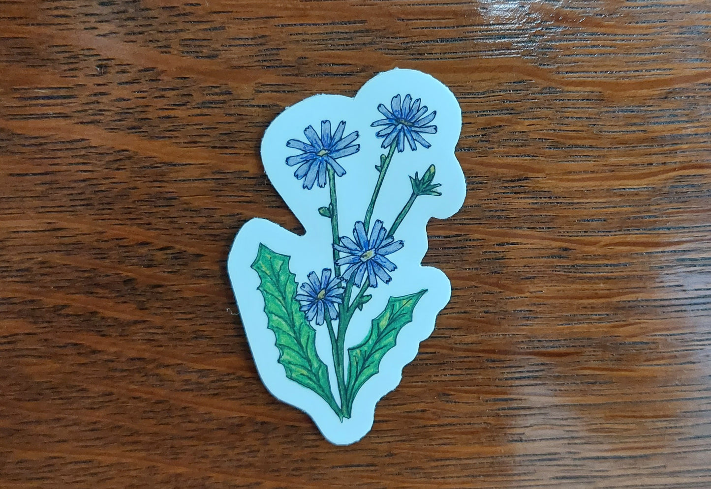 Chicory Vinyl Sticker
