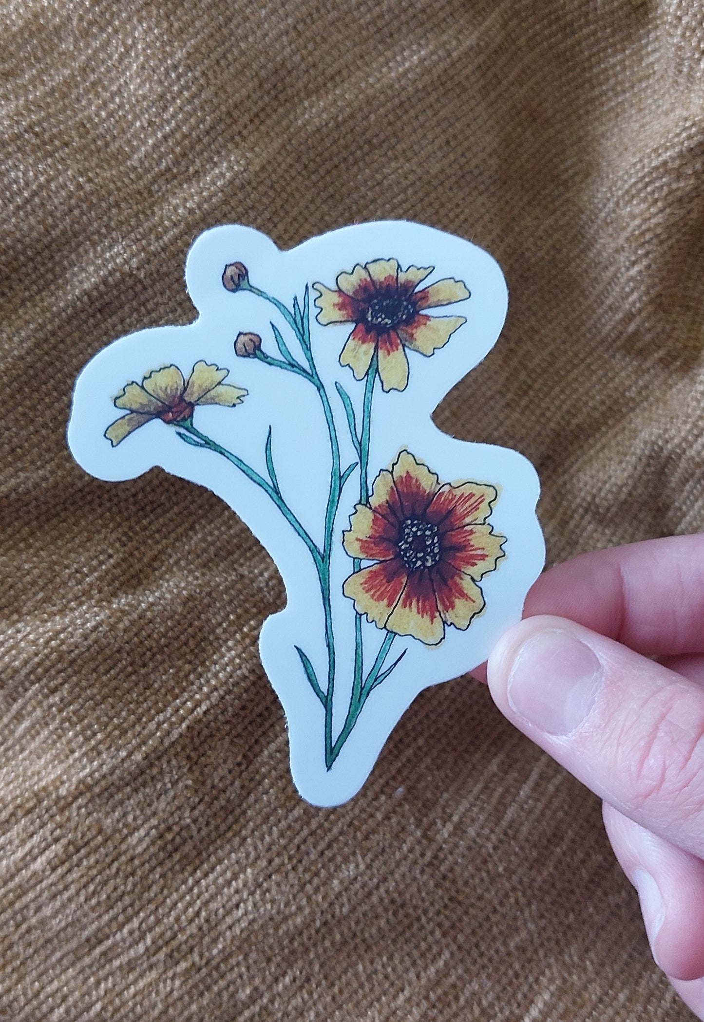 Tickseed Vinyl Sticker