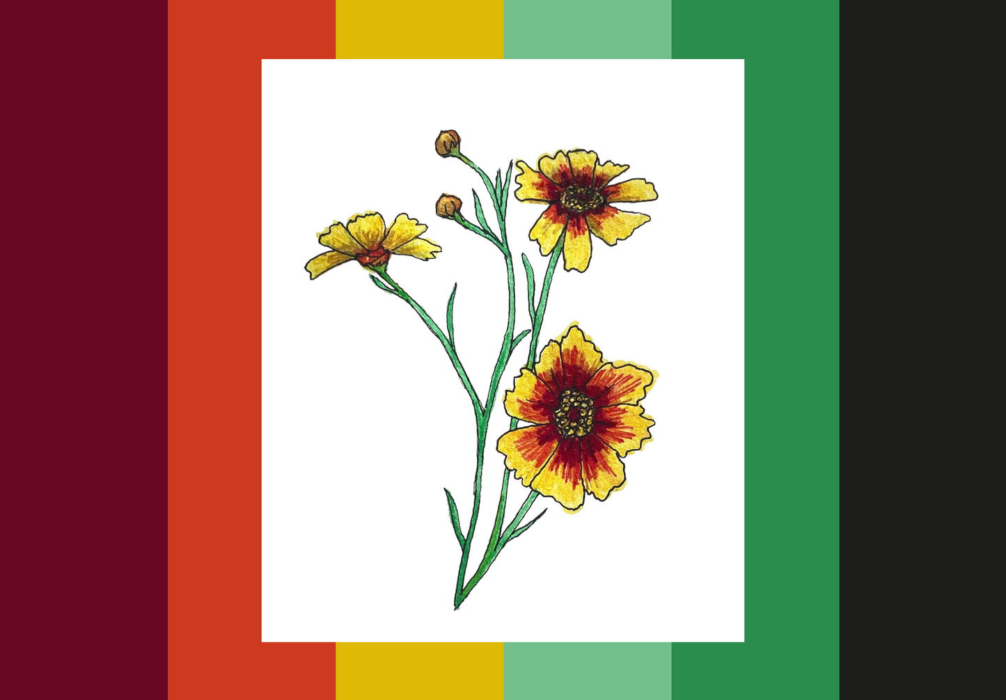Tickseed Vinyl Sticker
